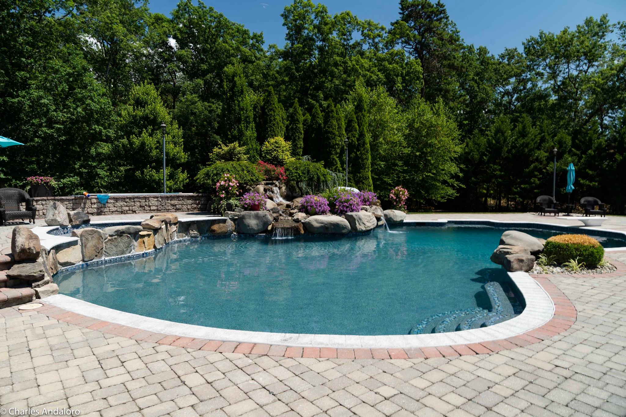 pool openings landis pool servicepool openipool openings landis pool servicengs landis pool service